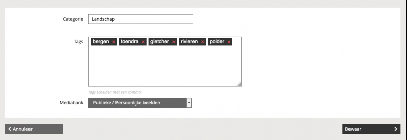Tags_categorietoevoegen2.png